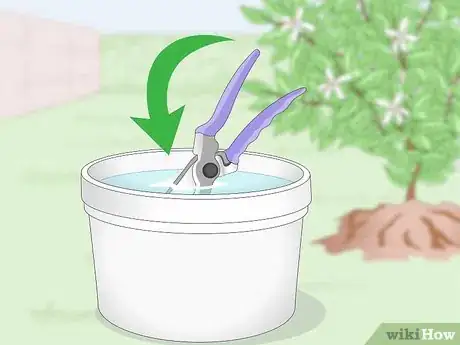 Imagen titulada Disinfect Gardening Tools Step 7