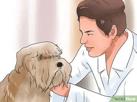 Imagen titulada Save a Choking Dog Step 12