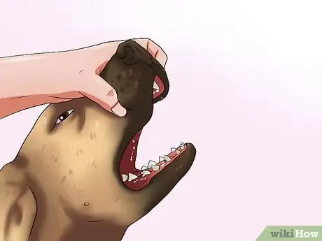 Imagen titulada Get Your Dog to Swallow a Pill Step 14