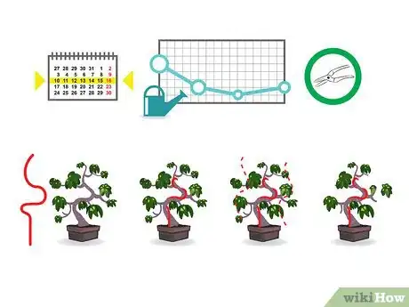 Imagen titulada Start a Bonsai Tree Step 06