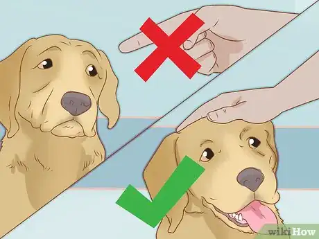 Imagen titulada Take Care of a Dog Step 19