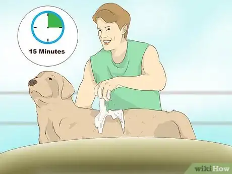 Imagen titulada Make an Oatmeal Bath for a Dog Step 5