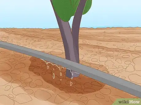 Imagen titulada Determine How Much Water Plants Need Step 4