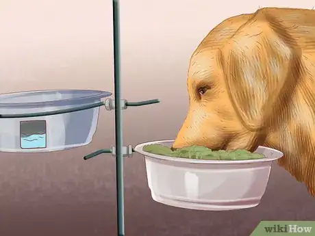 Imagen titulada Choose a Place for Your Dog to Eat Step 5