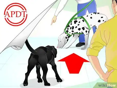 Imagen titulada Train Labrador Retrievers Step 8