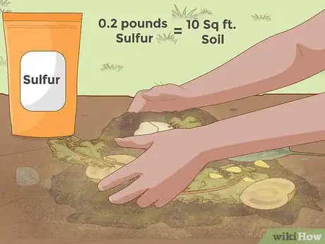 Imagen titulada Lower Soil pH Step 8