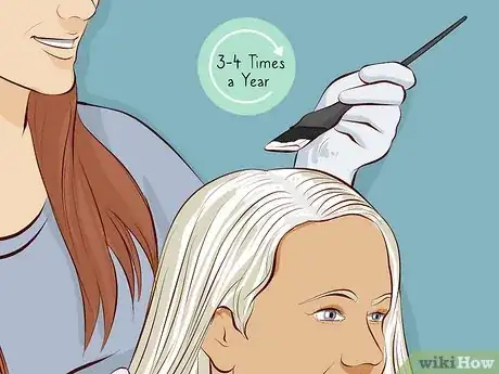 Imagen titulada Color Grey Hair Step 14