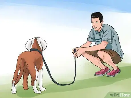 Imagen titulada Leash Train a Puppy Step 12