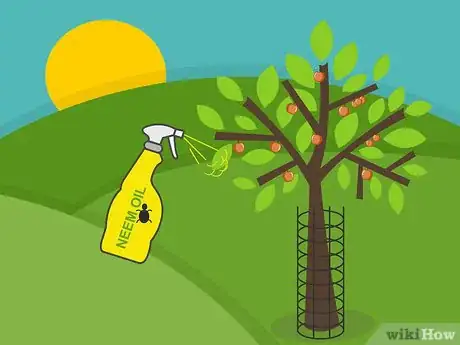 Imagen titulada Care for Mature Apple Trees Step 19