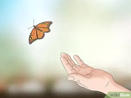 Imagen titulada Catch and Raise Monarch Caterpillars Step 15