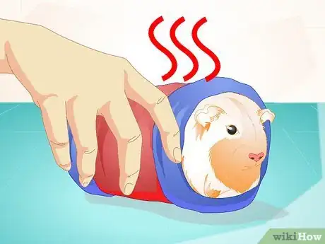 Imagen titulada Look After Your Sick Guinea Pig Step 9