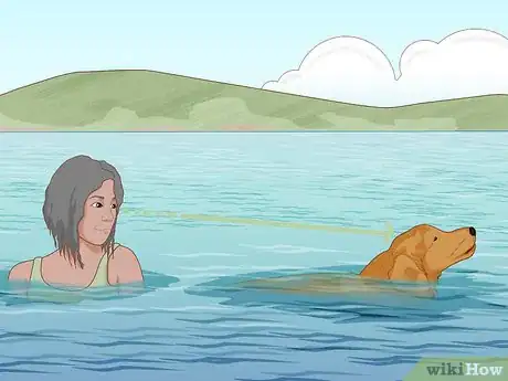 Imagen titulada Safely Introduce Your Dog to Water Step 12