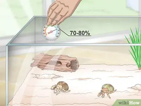 Imagen titulada Maintain Humidity in a Pet Hermit Crab Habitat Step 1