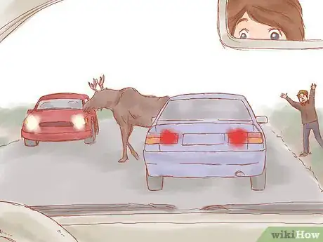 Imagen titulada Avoid a Moose or Deer Collision Step 7