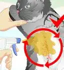 hacer un remedio herbal contra las pulgas para tu gato