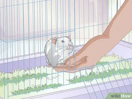 Imagen titulada Get a Hamster to Sleep Step 11