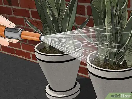 Imagen titulada Remove Ants from Potted Plants Step 9