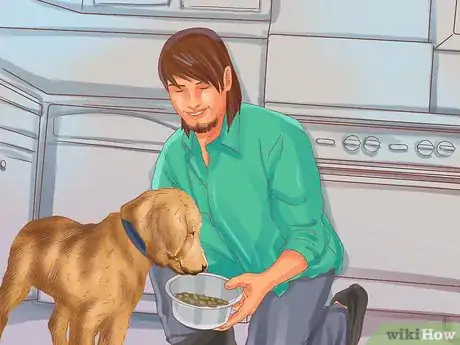 Imagen titulada Choose a Place for Your Dog to Eat Step 3