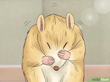 Imagen titulada Understand Gerbil Body Language Step 4