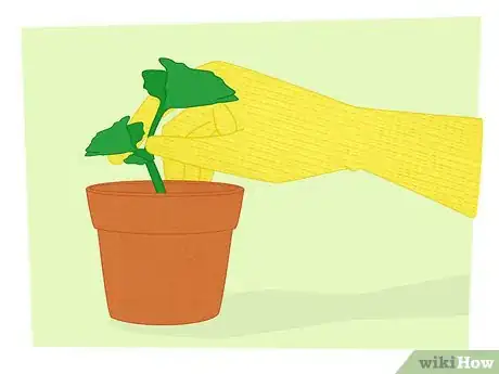 Imagen titulada Propagate Your Plants Step 13