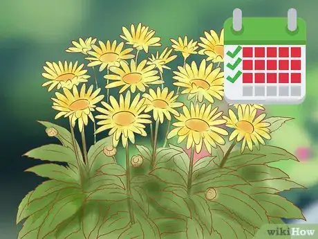 Imagen titulada Prune Daisies Step 5