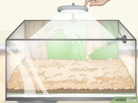 Imagen titulada Build a Vivarium Step 12