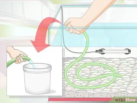 Imagen titulada Clean Aquarium Gravel Step 4