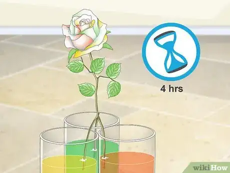 Imagen titulada Dye Roses Step 14