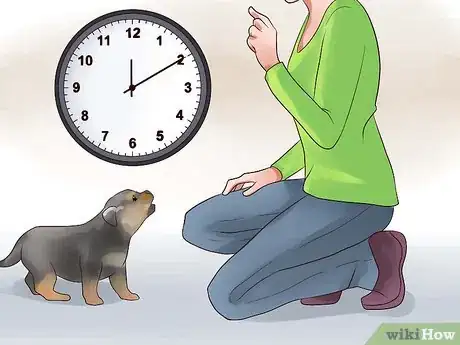Imagen titulada Train Your Rottweiler Puppy With Simple Commands Step 5