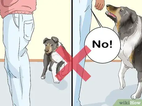 Imagen titulada Stop a Dog from Herding Step 5