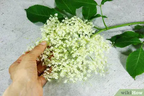 Imagen titulada Make Elderflower Cordial Step 18