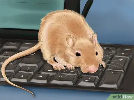 Imagen titulada Make Your Gerbil Happy Step 11