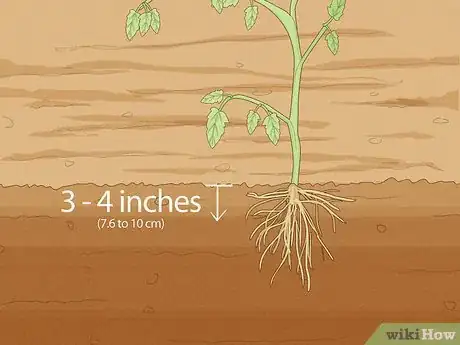 Imagen titulada Determine How Much Water Plants Need Step 13