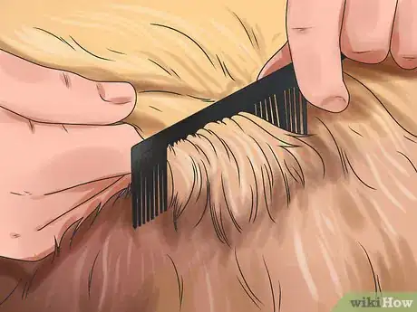 Imagen titulada Brush Mats out of Dog Hair Step 9