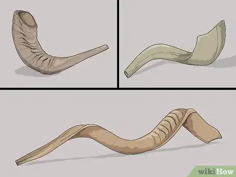 Imagen titulada Blow a Shofar Step 1