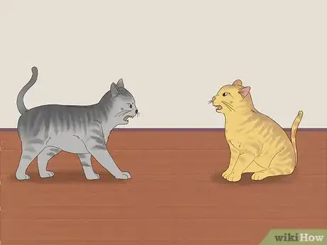 Imagen titulada Know if Cats Are Playing or Fighting Step 1