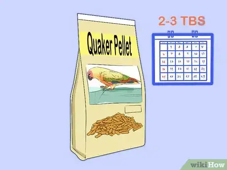 Imagen titulada Feed a Quaker Parrot Step 1