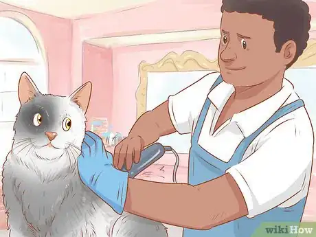 Imagen titulada Shave a Matted Cat Step 10