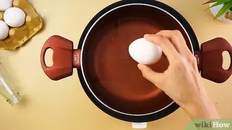 Imagen titulada Get an Egg Into a Bottle Step 1