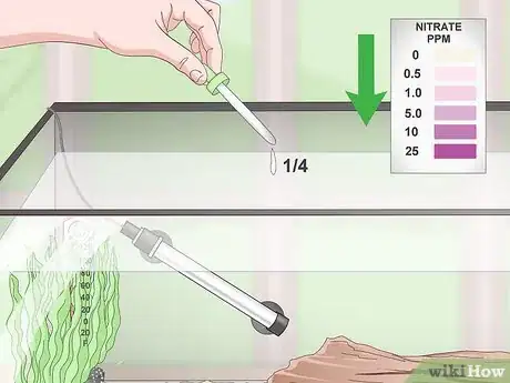 Imagen titulada Do a Fishless Cycle Step 10