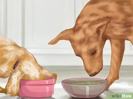 Imagen titulada Choose a Place for Your Dog to Eat Step 9