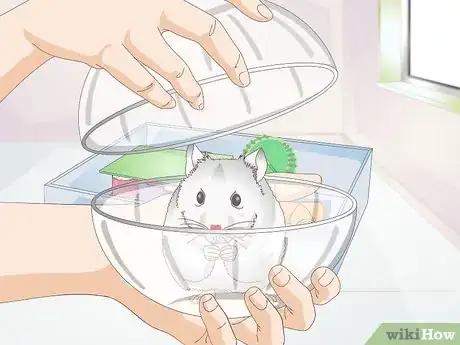 Imagen titulada Make a Hamster Playpen Step 10