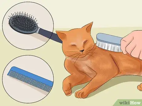 Imagen titulada Make Your Cat's Fur Soft and Shiny Step 4