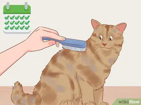 Imagen titulada Shave a Matted Cat Step 13