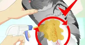 hacer un remedio herbal contra las pulgas para tu gato