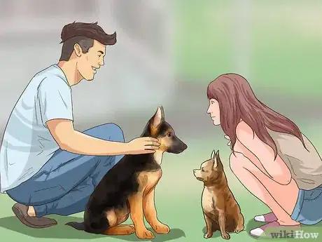 Imagen titulada Adopt a Dog Step 12