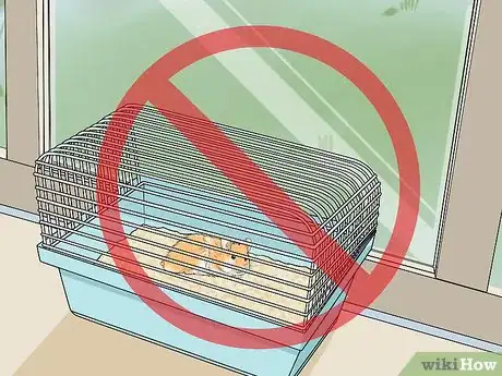 Imagen titulada Prevent and Treat Heat Stress in Hamsters Step 9