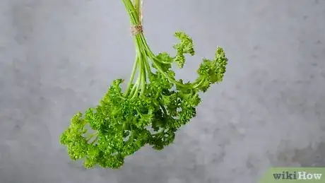 Imagen titulada Preserve Fresh Parsley Step 18