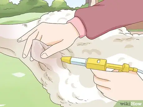 Imagen titulada Care for a Sheep With Pneumonia Step 5