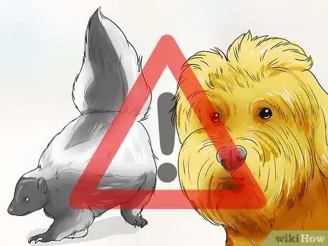 Imagen titulada Get Rid of the Skunk Smell on Pets Step 9